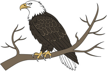 Bald Eagle Perched on a Branch Illustration Patriotic Symbolism and National Pride Iconography