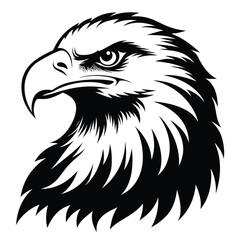 Majestic Bald Eagle Head Illustration in Black and White Bold Graphic Style and Fierce Gaze