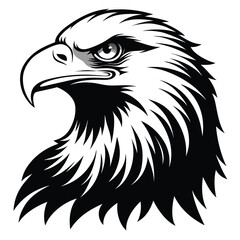 Majestic Bald Eagle Head in Striking Black and White Illustration with Intense Gaze