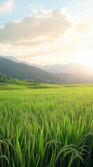 Fototapeta premium Would you like it shorter or more descriptive?