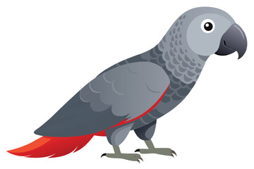 A Captivating African Grey Parrot Perched Gracefully with Red Feathers and Grey Plumage Displayed © Bablu