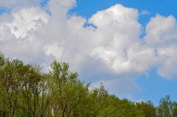 Obraz premium A cloudy sky with a few trees in the background. The sky is mostly blue with a few clouds scattered throughout. The trees are green and are spread out across the sky