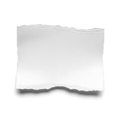 Obraz premium Torn paper edge isolated on white background