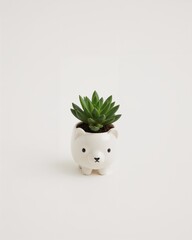 Tiny animal shaped ceramic pot for succulents on plain white background