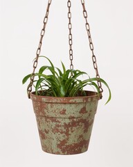 Hanging metal chain planter pot with rustic patina on plain white background