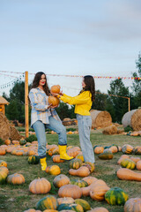 Pumpkin picking. Family gathering autumn vegetable harvest on farm. Worker holding big pumpkin in...