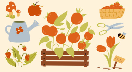 Illustration of garden seedlings and crops. The concept of gardening.
