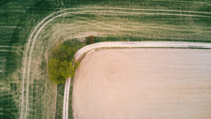 Spring in the countryside, Hrádek u Nechanic, Czech Republic