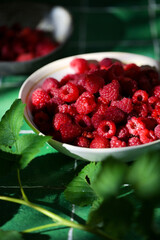 Plate of freshly picked red raspberries on green tile background. Concept of vibrant colors,...