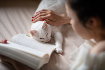 読書をする女性と昼寝をする白い猫