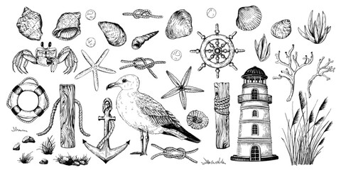 A set of black and white vector illustrations. A variety of hand drawn marine elements including seashells, starfish, a seagull, lighthouse, anchor, ropes, coral, ship wheel, grass, rocks, plants.