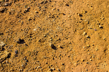 Desert ground as a natural background.