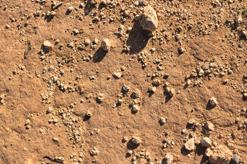 Desert ground as a natural background.