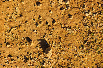 Desert ground as a natural background.
