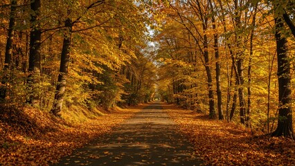 Obraz premium Leaf-covered trail surrounded by glowing autumn colors.