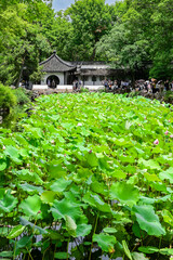 蘇州・拙政園
