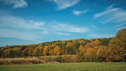 Fototapeta premium Scenic autumn panorama of a forest clearing