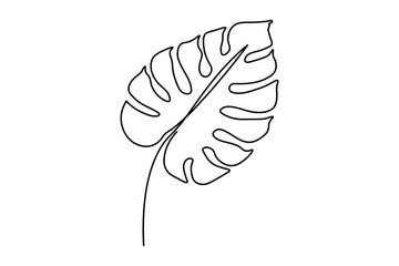 Monstera leaf one line drawing in minimalist style with isolated outline on white background