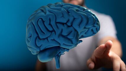 3D model of human brain.  Concepts: intelligence, neurology, psychology, mind.