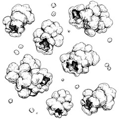 Hand-drawn popped corn sketch, antique texture surface, engraved popcorn texture, retro cinema pattern, snack illustration, vector illustration, classic movie night food design.