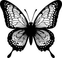 A captivating butterfly silhouette with distinct patterns and delicate dots adorning its wings, creating a detailed and aesthetically pleasing design suitable for elegant nature-themed projects 