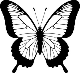 A classic and elegant butterfly silhouette with clearly defined wing veins and bold outlines, creating a timeless and versatile design perfect for various artistic and decorative applications.