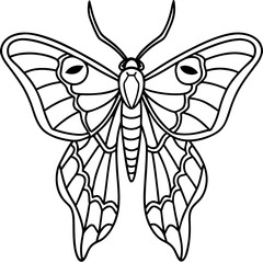 Atlas moth line art vector