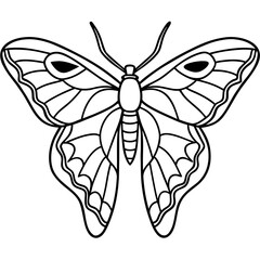 Atlas moth line art vector