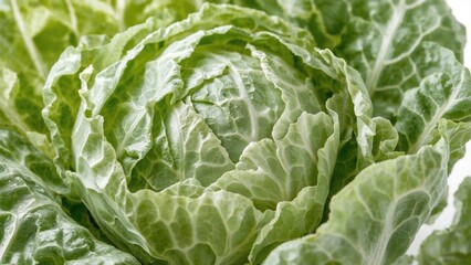Obraz premium Chinese cabbage on a plain white backdrop