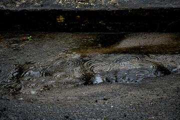 Raindrops creating ripples in a dark puddle on asphalt, symbolizing wet weather.