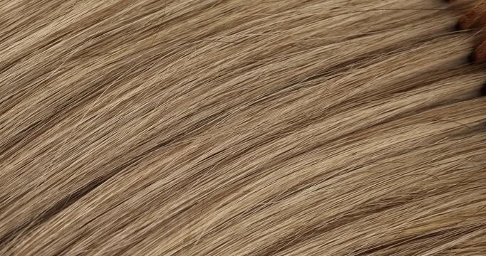 Hair is being combed with a wooden comb in a close-up video.