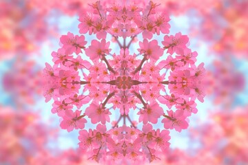 Fototapeta premium A vibrant kaleidoscope of pink cherry blossoms in full bloom against a soft blue backdrop