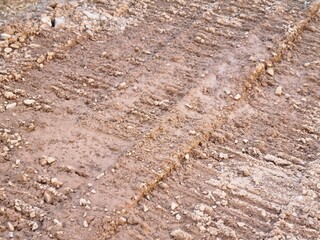 Tire Tracks in Wet Muddy Ground
