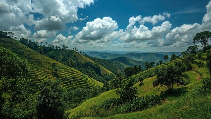 Naklejka premium Layered farming plots on a mountainous slope