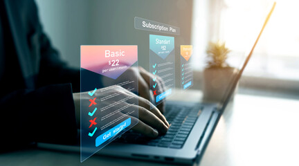 Subscription plan option. Subscription plan offers exclusive access to premium content, special discounts, and priority support.Paid online service subscription plan.