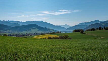 Obraz premium Farming region landscape