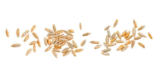 Top view of raw rye grains isolated on a white background. Organic seeds.