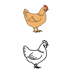 Fototapeta premium A charming chicken illustration featuring a colored version and a simple line drawing, perfect for farm-themed designs and creative animal projects.
