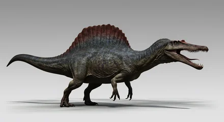 Acrylglasbilder Dinosaurier Geweldige 3D Spinosaurus model prachtig gedetailleerd tegen neutrale achtergrond. AI Generated  © Lucas