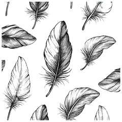Hand-drawn plume pattern, engraved art, vintage feather detail texture, antique line art texture, trendy surface illustration background, bird sketch vector illustration. © Vintage Studio
