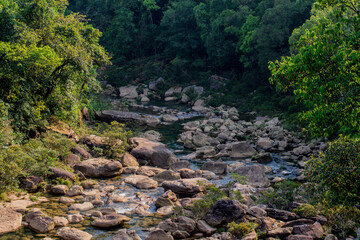 Rocky riverbed winding through a lush green forest, showcasing untouched nature and serene wilderness in Meghalaya.