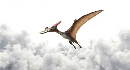 Fototapete Vliegende pterosaurus zweeft sierlijk boven wolken prachtige belichting. AI Generated © Lucas