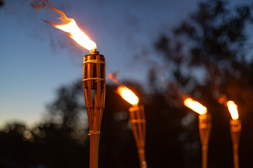 Tiki Torches Burning Bright in the Evening Twilight
