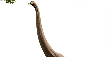Fototapete Reusachtige dinosaurus graast bladeren zacht zonlicht. AI Generated © Lucas
