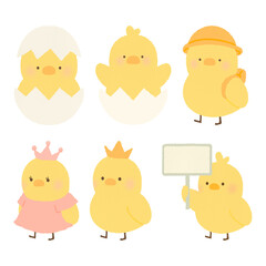 cute baby chick vector graphic illustration