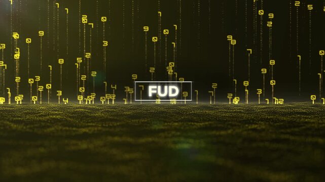 Matrix Binary Code and Fud Word