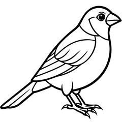 Finch line art vector