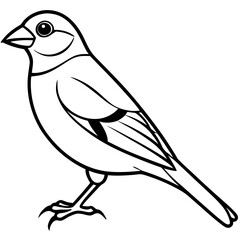 Finch line art vector