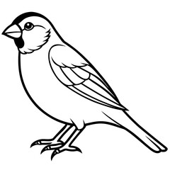 Finch line art vector