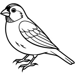 Finch line art vector